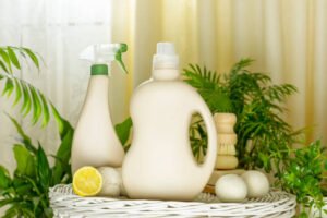 Sustainable Cleaning Solutions